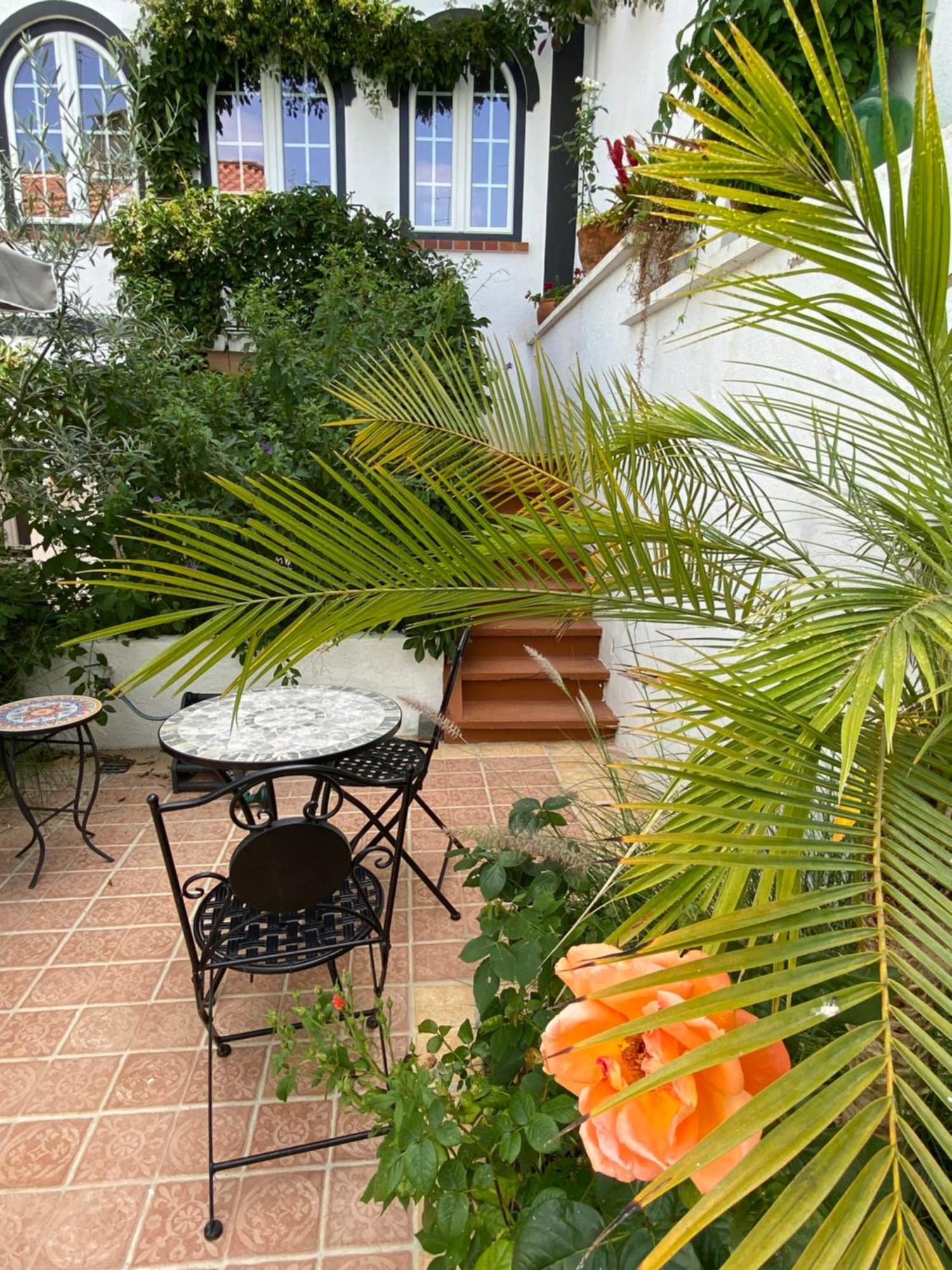 Patio Da Villa - Coruche Boutique Guest House Exteriér fotografie